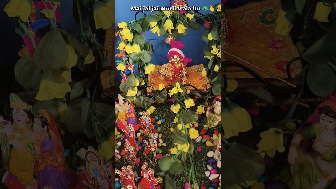 Mai Jai Jai Murli Wala hu 🦚🫰 #krishna #laddugopal #radhashtami2026 #shorts #trendingshorts #krishna
