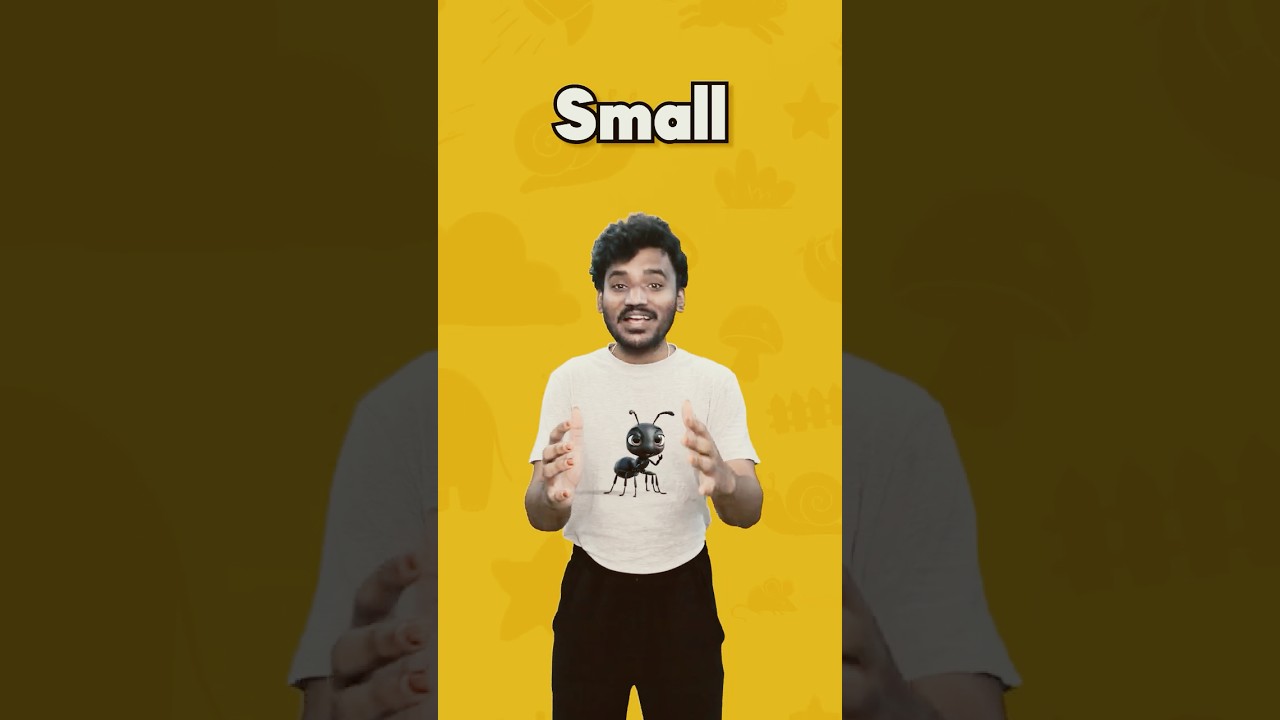This Is Big Big Big! | Big, Small, Tall, Short, Fast & Slow | Opposite Words for Kids