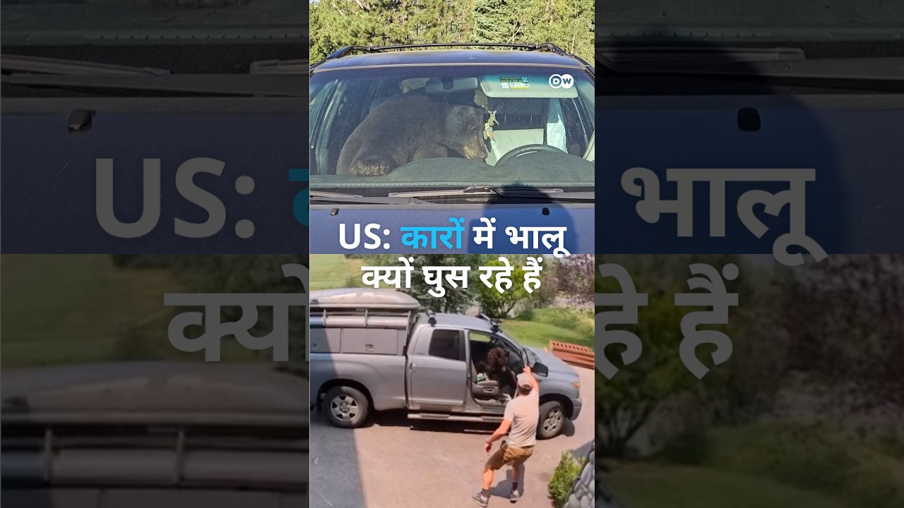 अमेरिका में भालु ने पूरी रात बजाया कार का हॉर्न [US: Hungry Rockies bears seek food in towns]