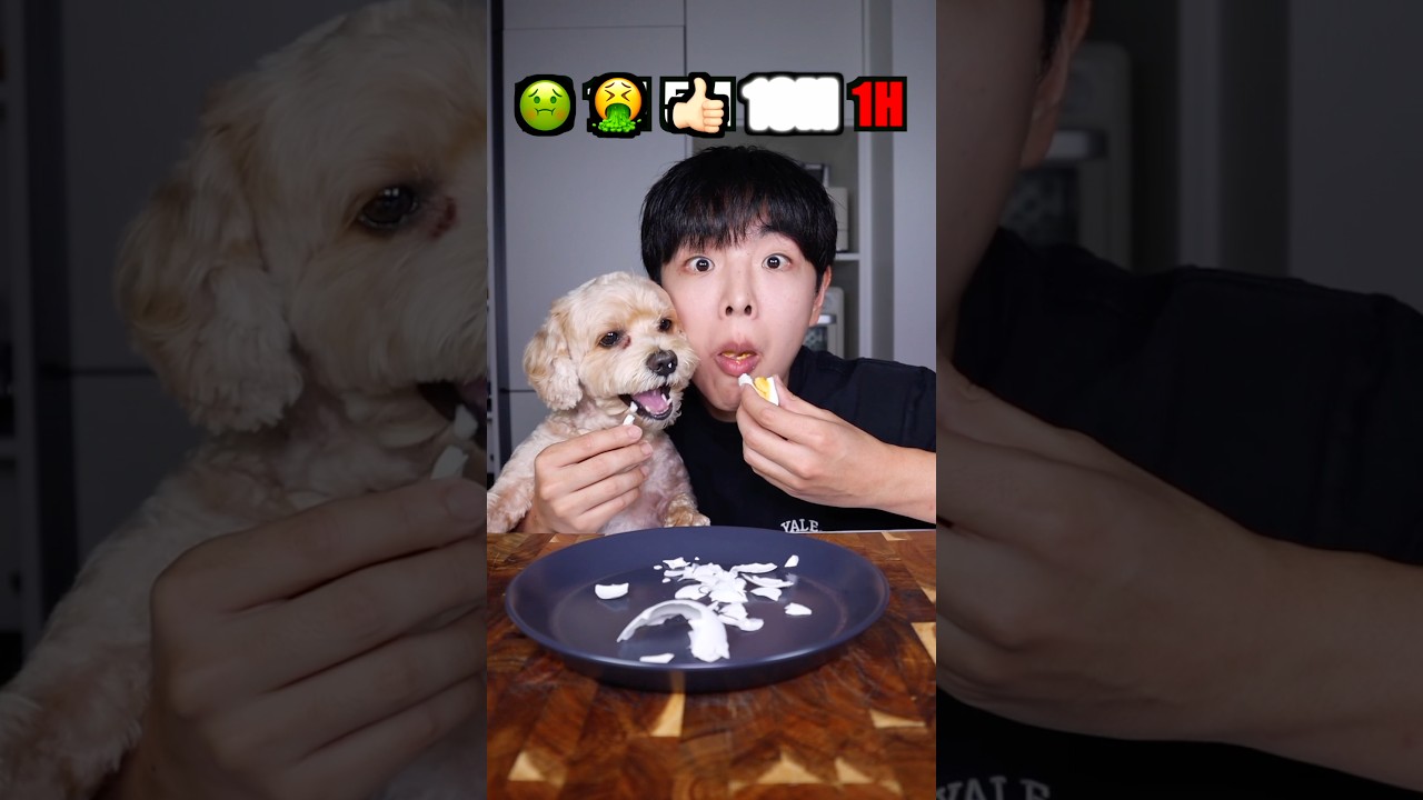 Boiled Egg Challenge #mukbang #stoneychoi