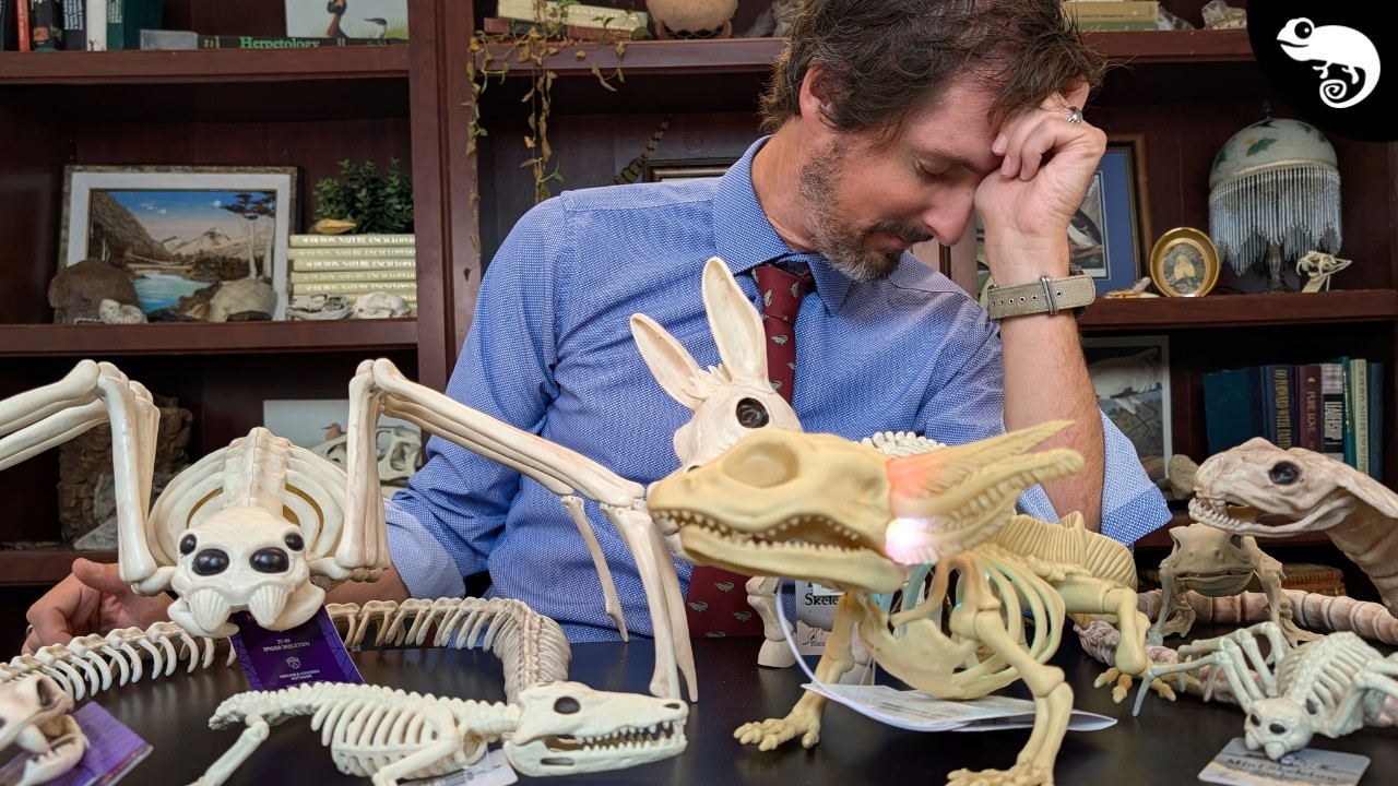 Zoologist Reacts To Your Horrible Halloween Decorations 2026