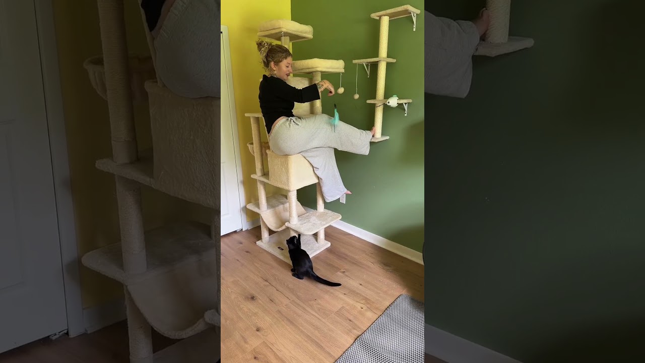 This might be the stupidest video we have ever made 😭