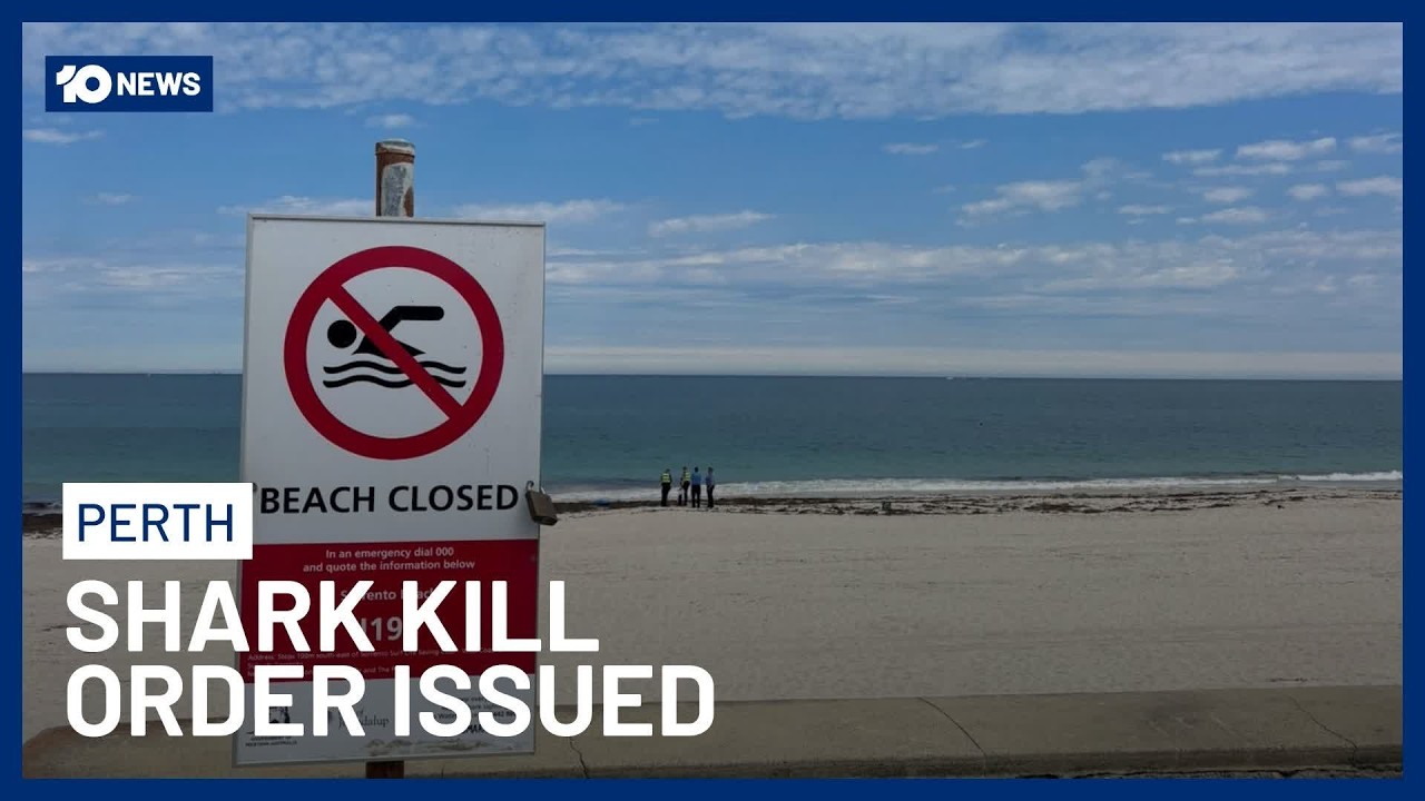 Catch-And-Kill Order Issued After Fatal Great White Shark Attack In Perth | 10 News
