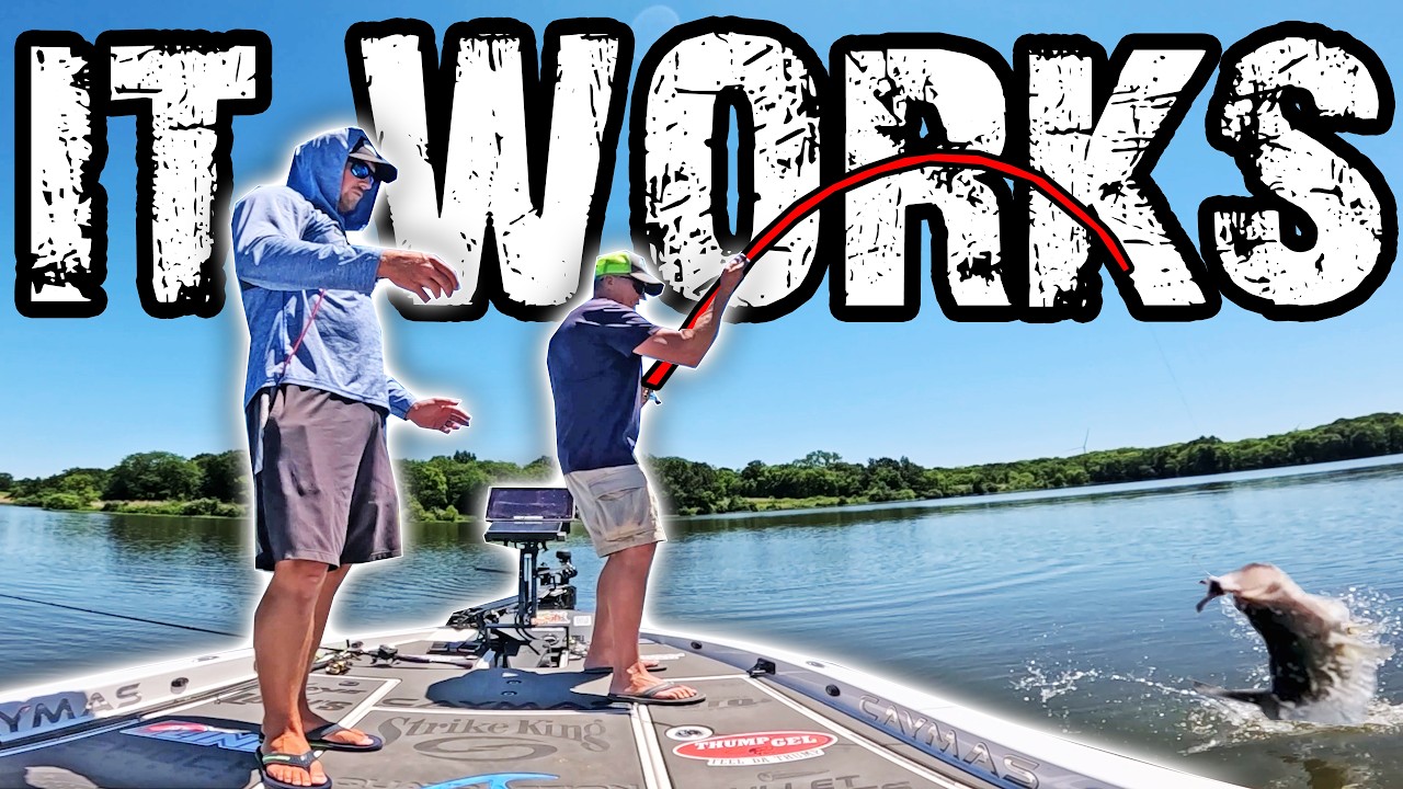 Bass Fishing My Childhood Lake With Modern Tech & Viral Urchin Baits (CRUSHED)