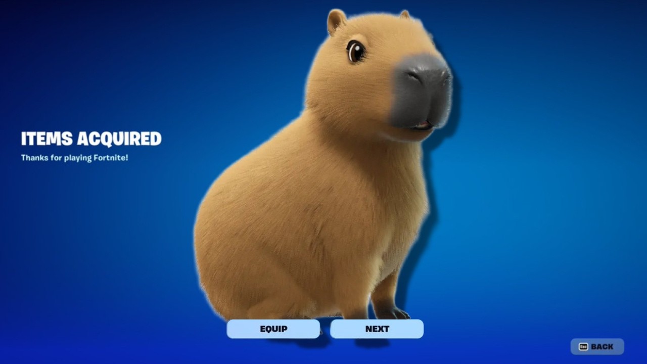 HOW TO GET CALM CAPY SIDEKICK IN FORTNITE! (CAPYBARA SIDEKICK)