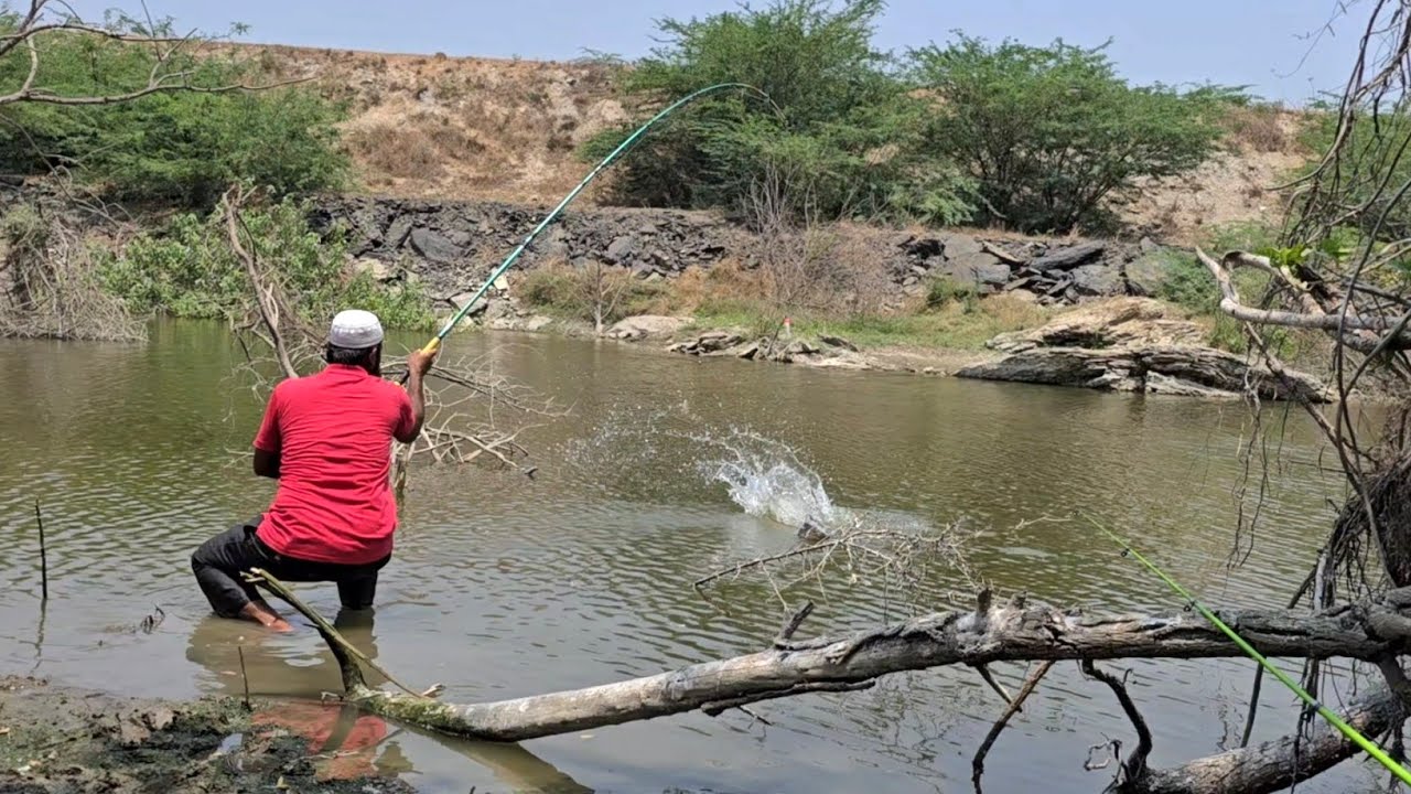 🎣SIMPLE FLOAT SETUP,AMAZING ROHU CATCH!ONE FLOAT,ONE HOOK,ONE EPIC ROHU STRIKE 🌿