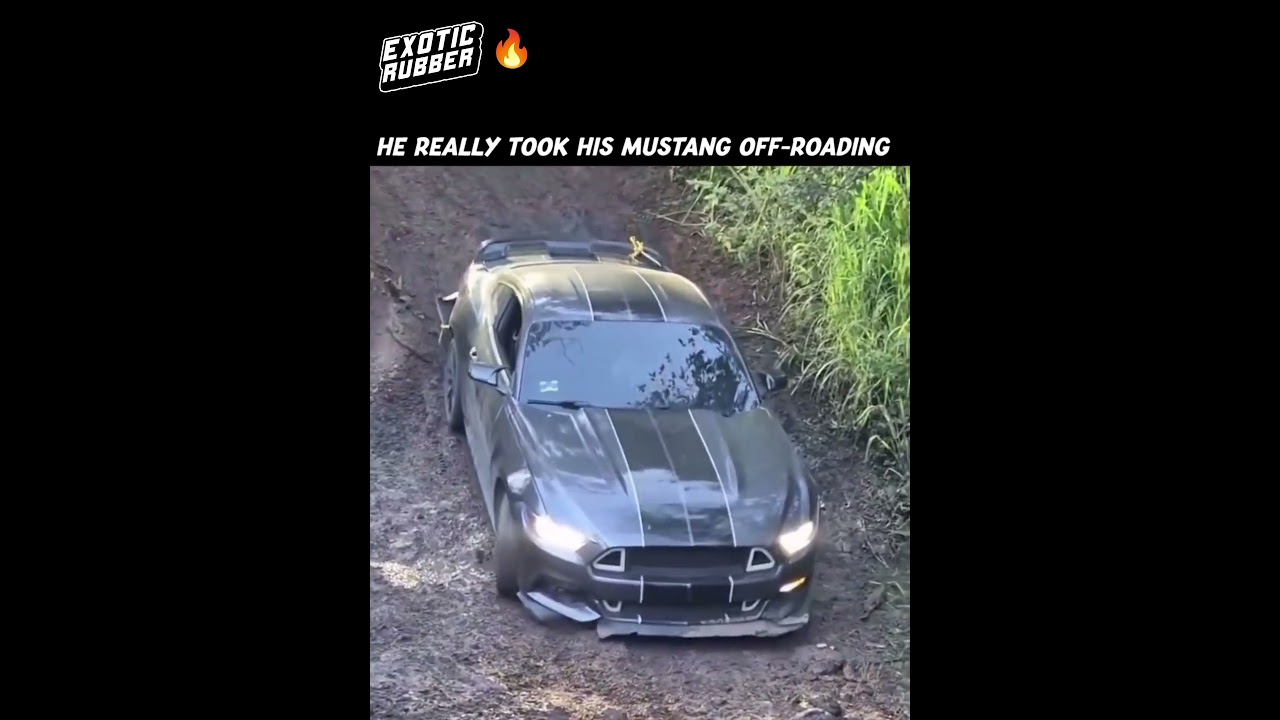 He Took His Mustang Off-Roading