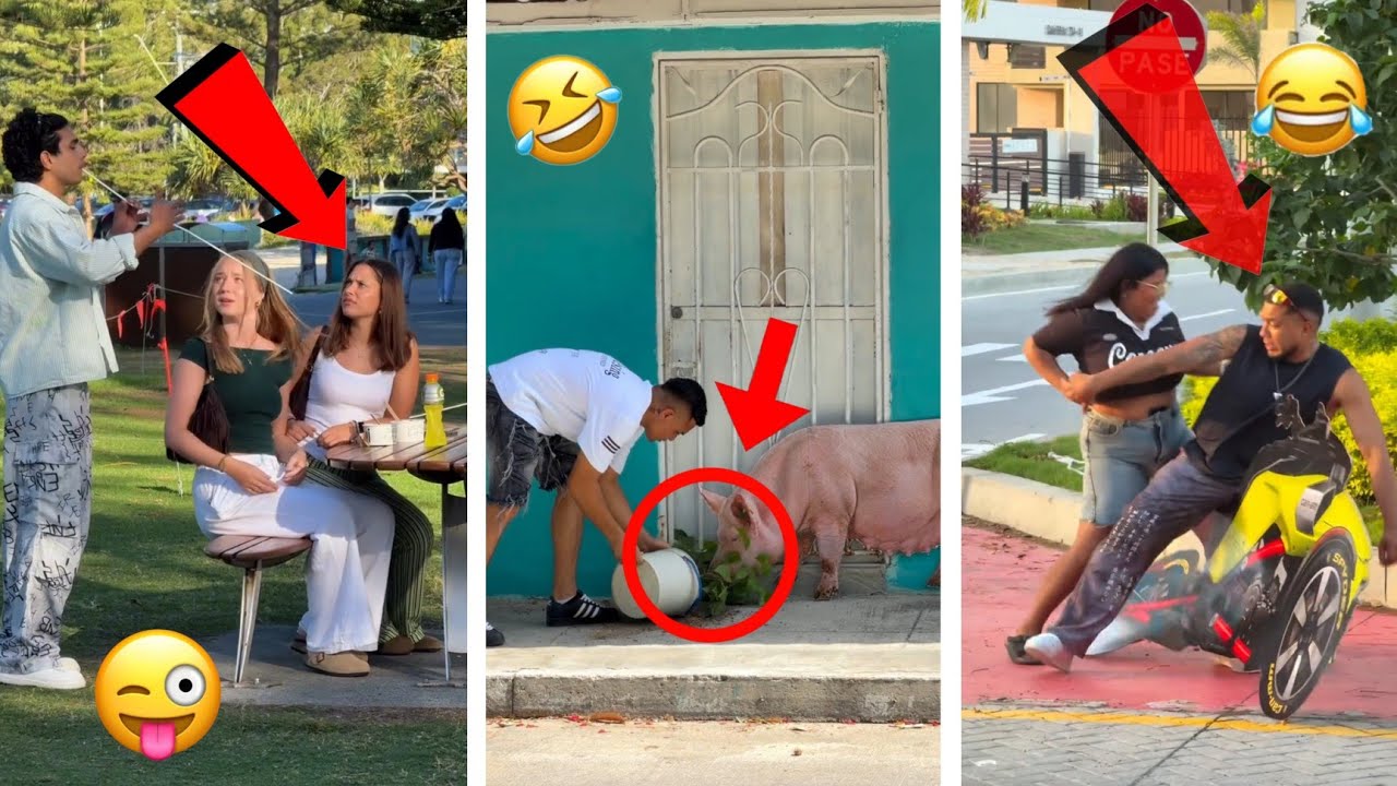 ​Gastiando a Todos con Cartón (Tricking Everyone with Cardboard)
