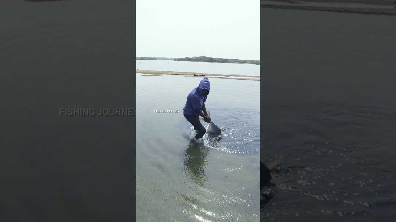 Unbelievable Catch #fishing #shorts #fishingvideo #camping #trending #fish #ocean #beach #catch