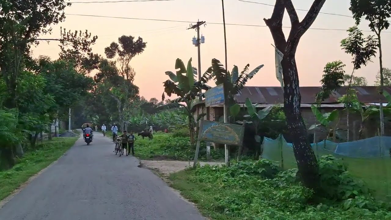 The beauty of the back roads of the village