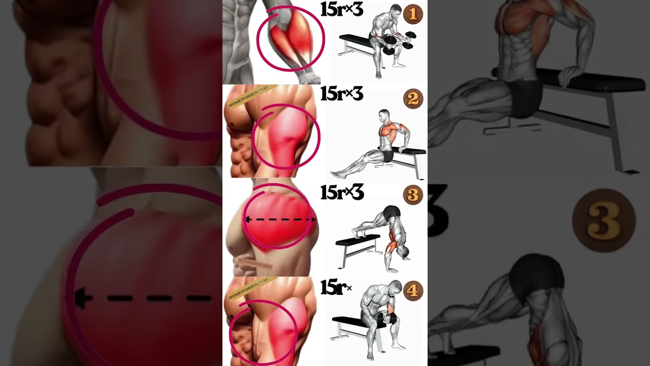 Shoulder, Triceps & Forearm Workout 💪 | Build Bigger Shoulders, Massive Arms