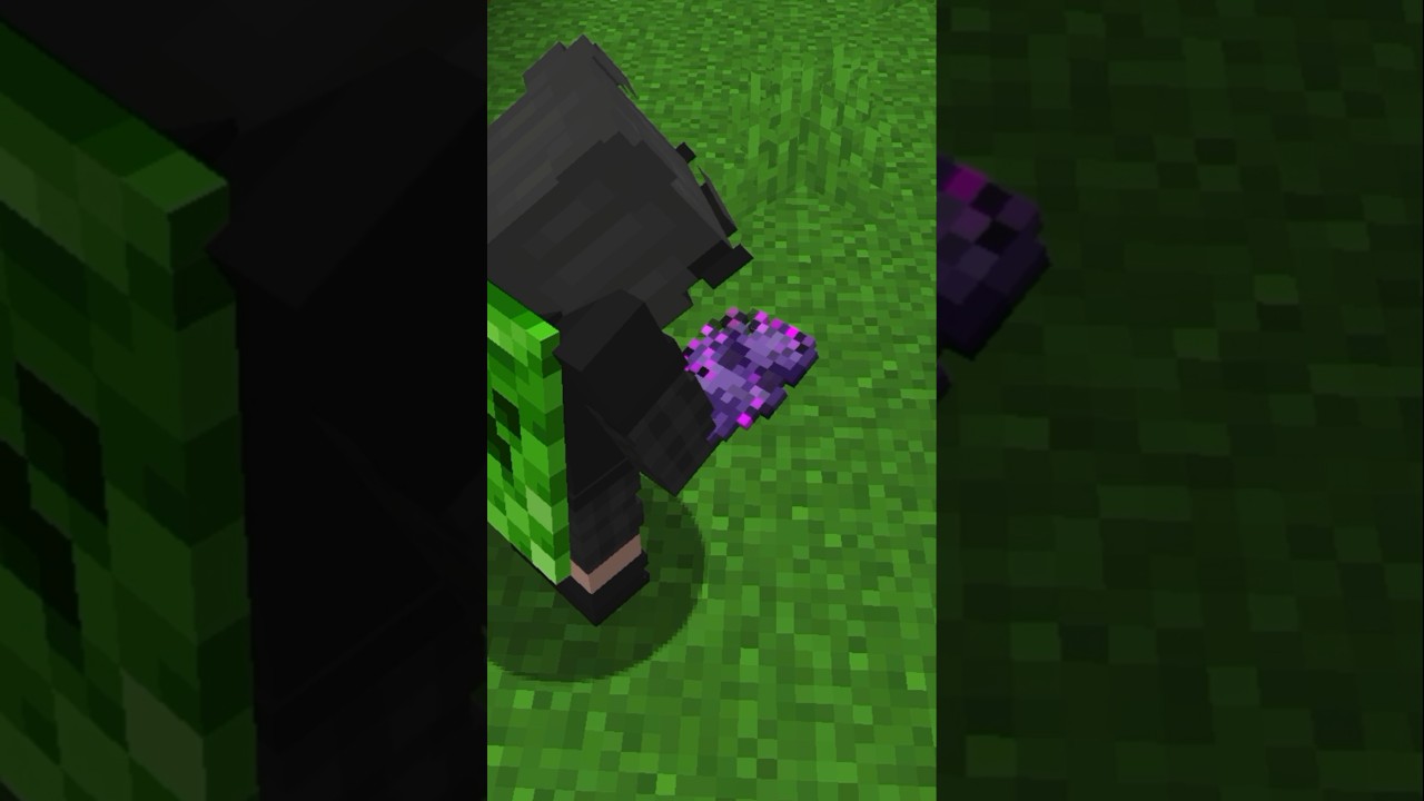 NADA DE LO QUE VES ES REAL EN Minecraft