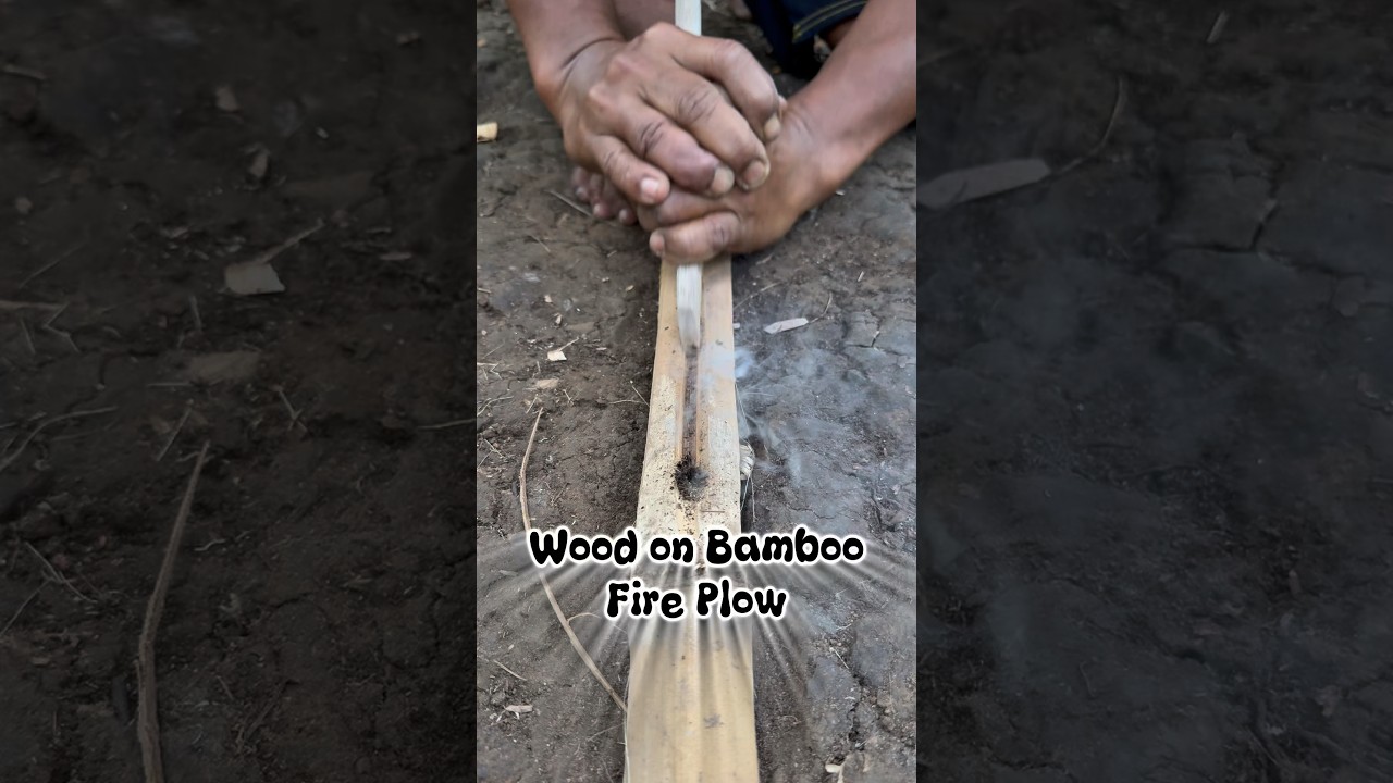 Wood on bamboo fire plow #primitivefirelighting #bushcraft