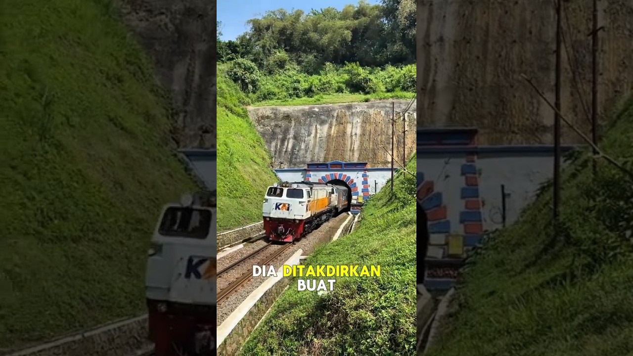 🚆🎢 Kenapa Kereta Api Nggak Bisa Looping Kayak Roller Coaster?#dubbing #faktamenarik #funnyvideo