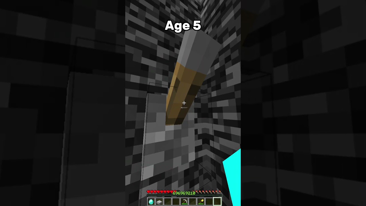 Minecrafter Noob Vs Me #minecraft #shorts