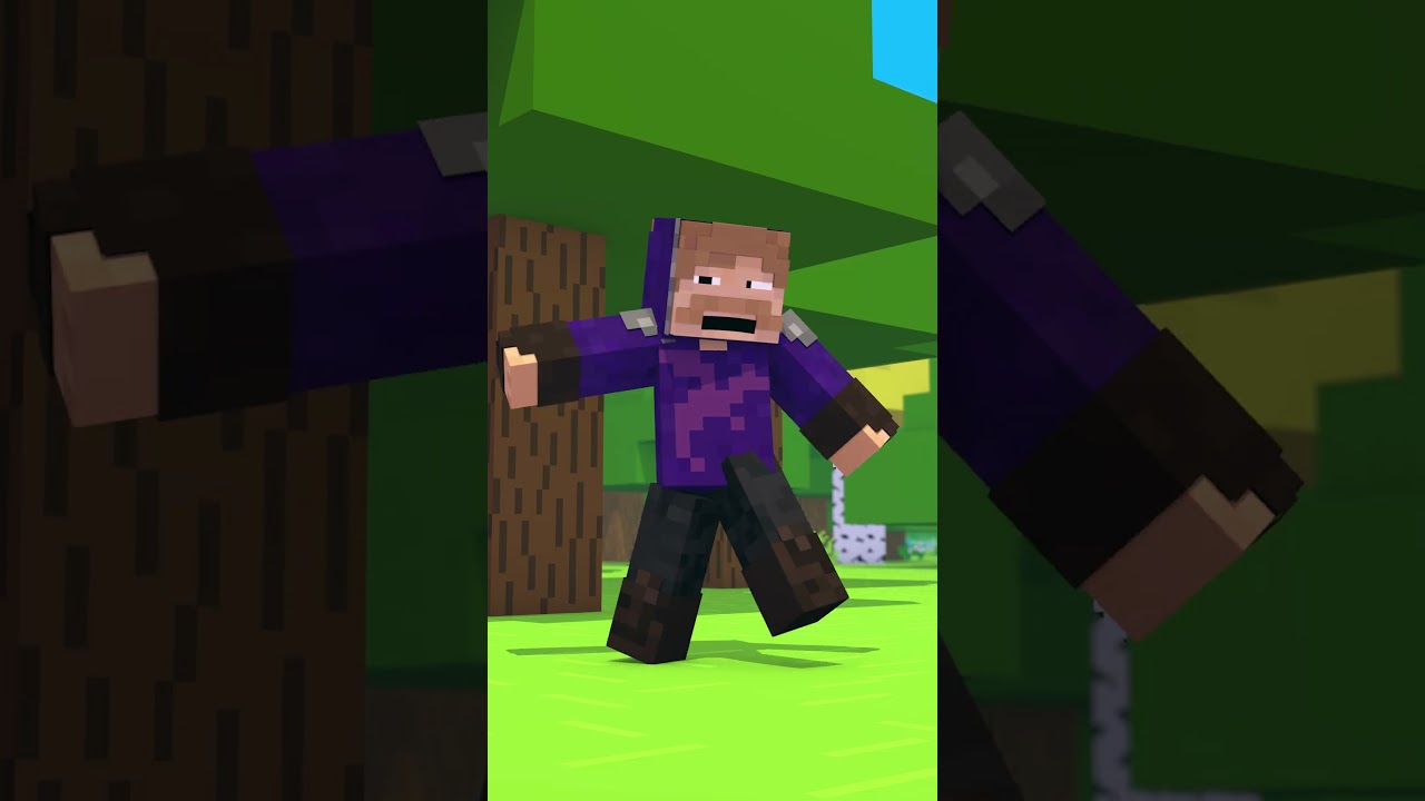 O melhor amigo do homem