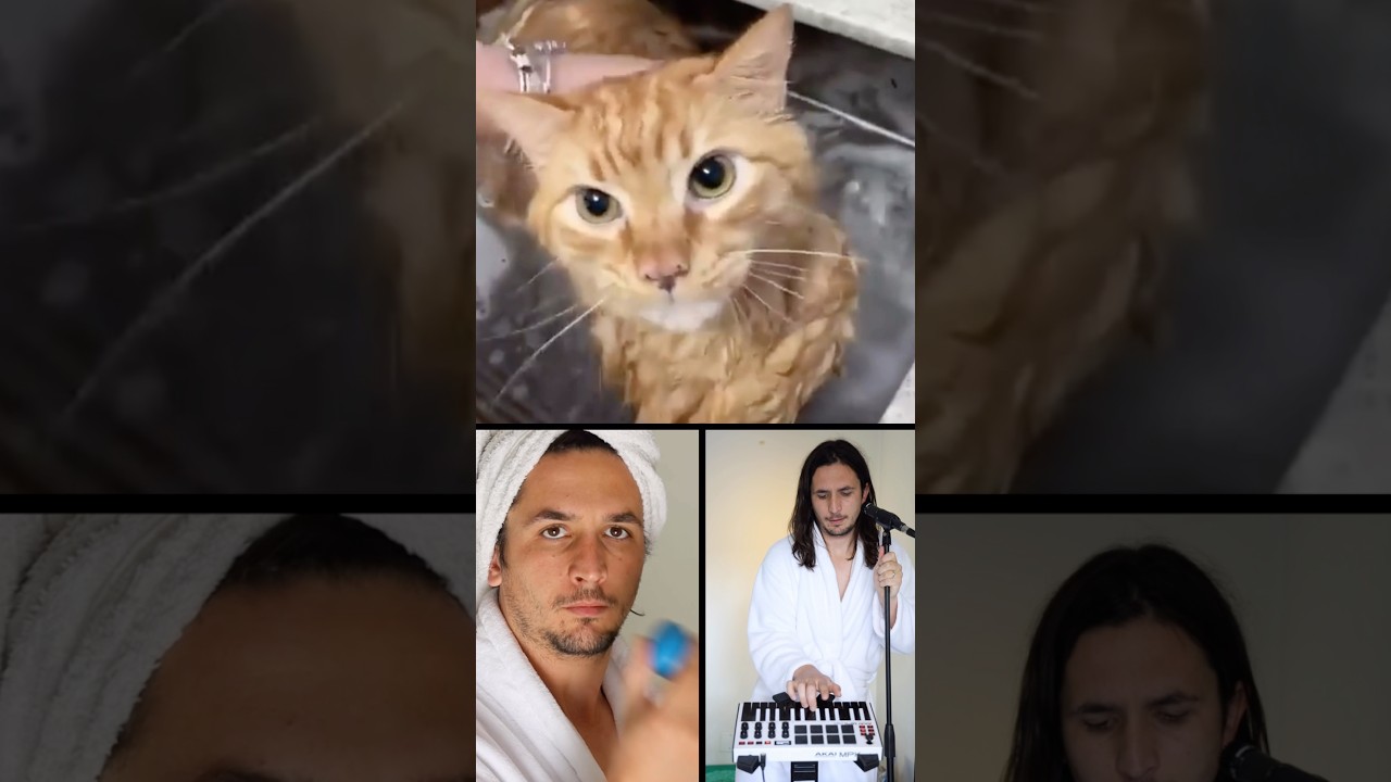 Don't let Billie Eilish see this 😹😹