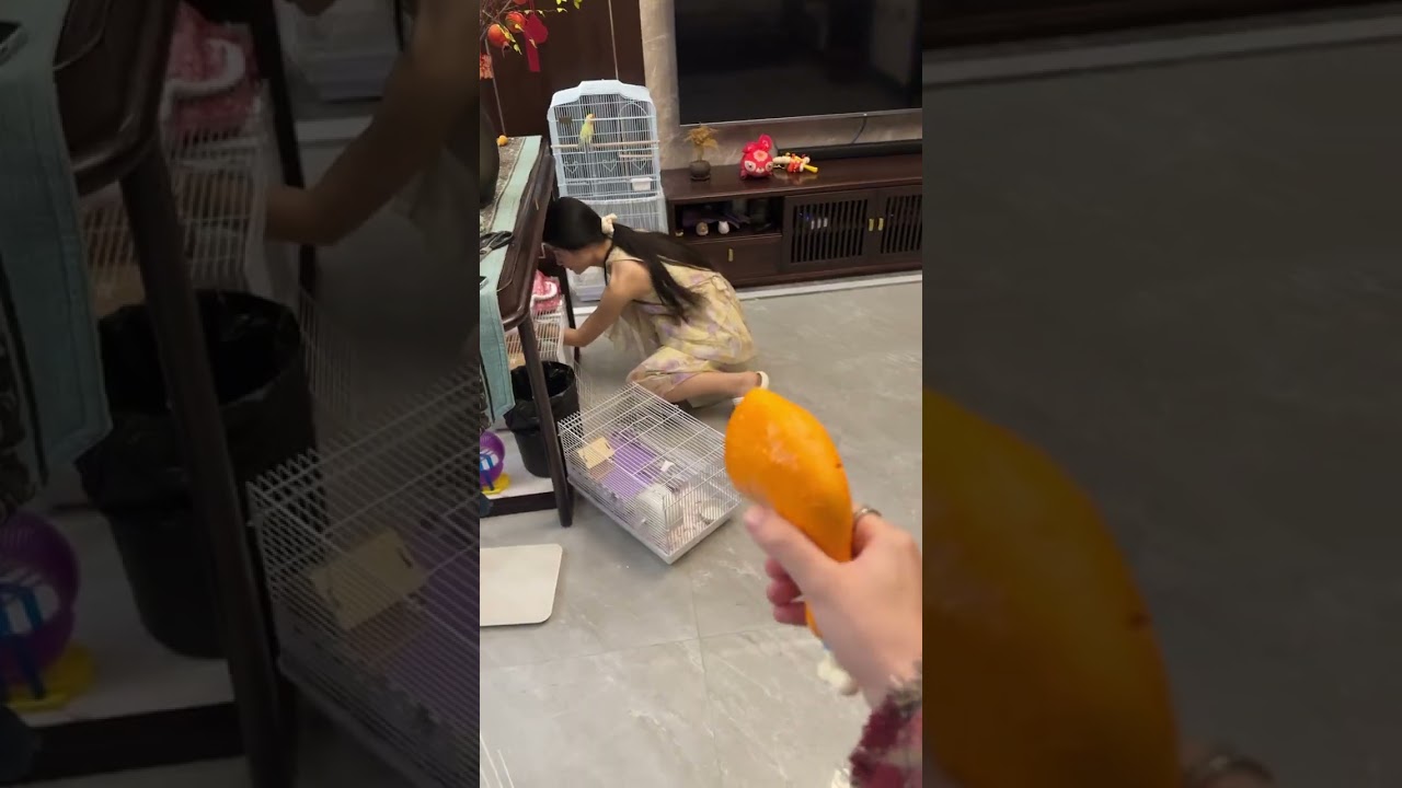 #Toys #Funny #Pranks #Couples #DailySharing #MarriedLife #Girlfriend #Love #Sweet