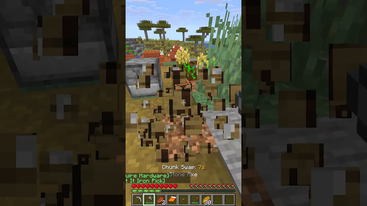 Minecraft, But Chunk Swaps Every 30 Seconds...