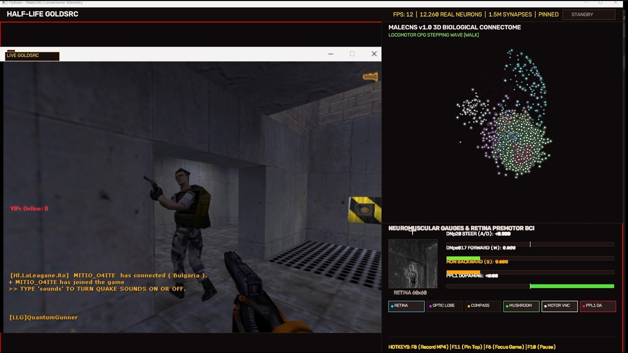 Fruit fly plays Half-Life DeathMatch Online