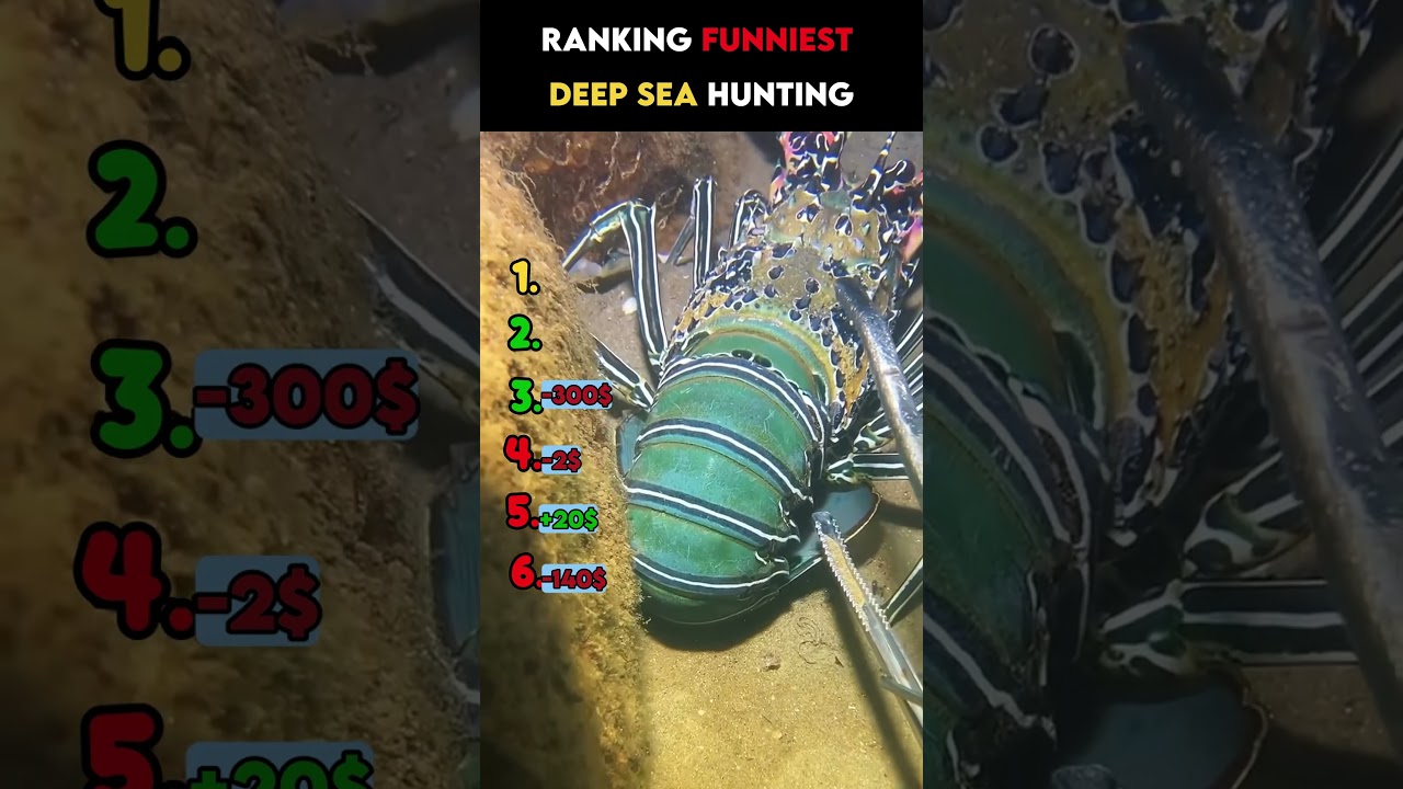 RANKING FUNNIEST SEA HUNTING