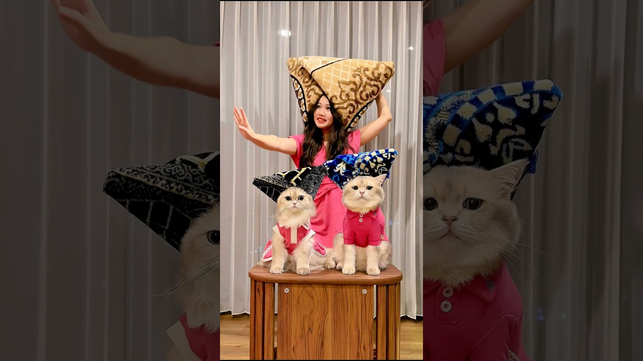😾: Sok kreatip malah jadi petaka woi! #cat #kucinglucu #funnyvideo #funnycats