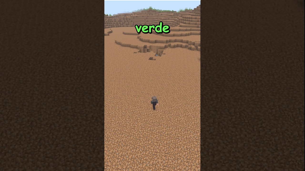 Minecraft mas a cor que eu falo desaparece