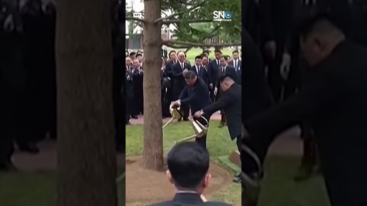 Xi Jinping, Kim Jong Un take part in a tree-planting ceremony