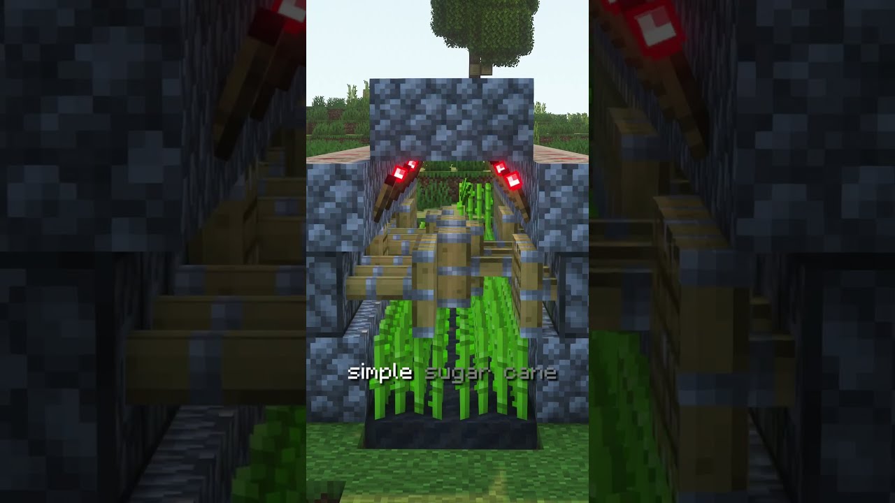 The Easiest Automatic Sugar Cane Farm in Minecraft