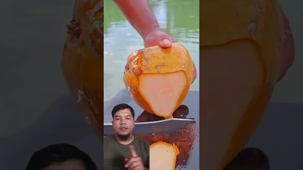 Cara mengupas kelapa #shortsvideo  #gardening #coconut