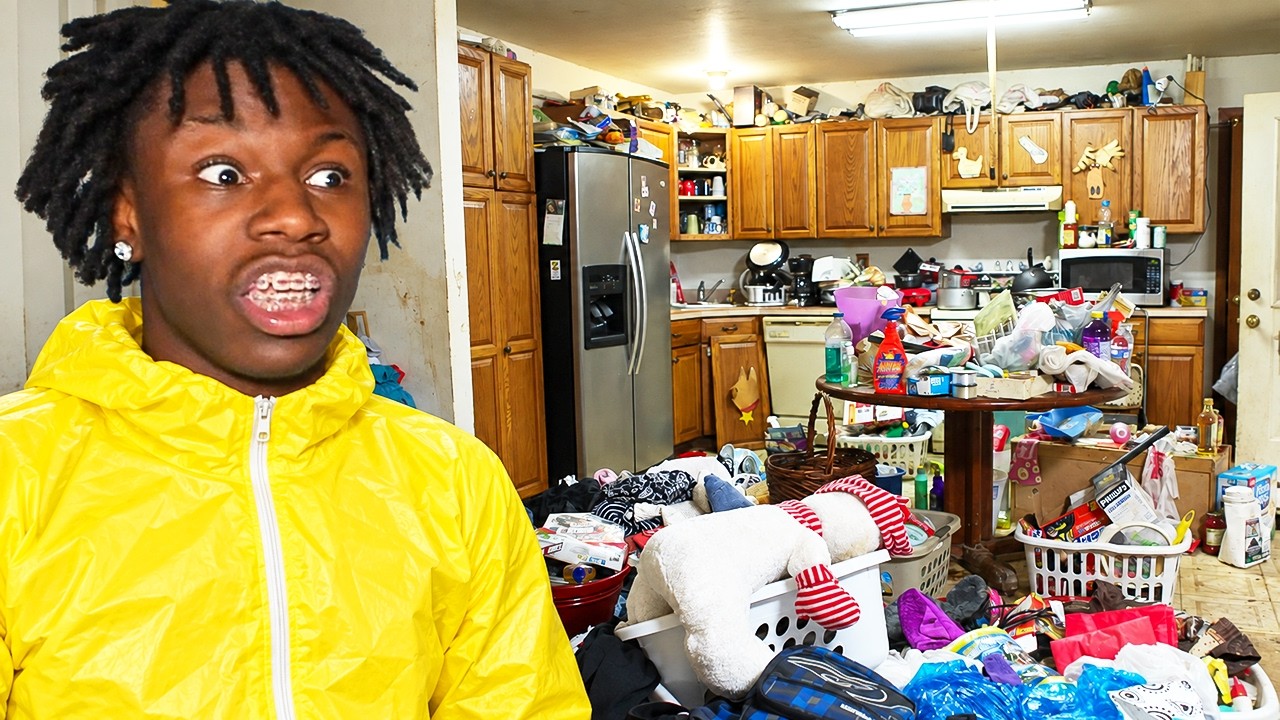i tried making money cleaning houses with ray.. (never again)