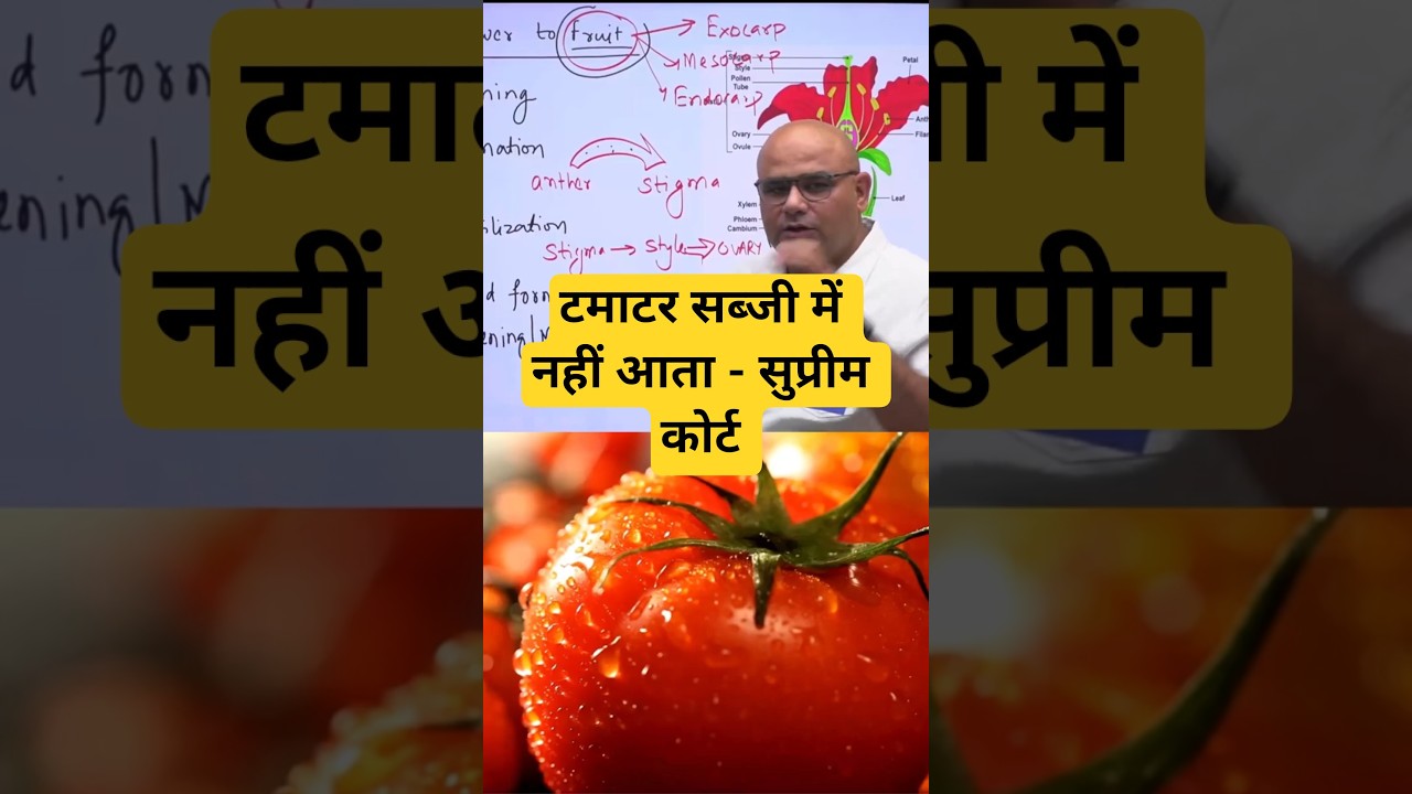 Tomato : Fruit or Vegitable? #dharmendrasir #gyrussulcus #science #biology #botany #education #upsc