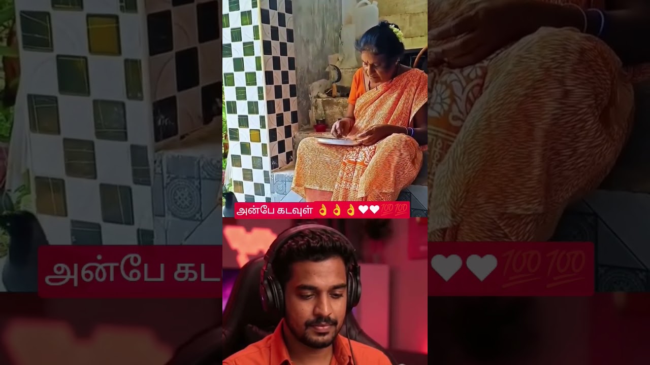 ❤️காகத்திற்கு💯தனது உணவை பகிர்ந்து கொடுக்கும் அம்மா #animals #pets #birds #trending #shorts #yt