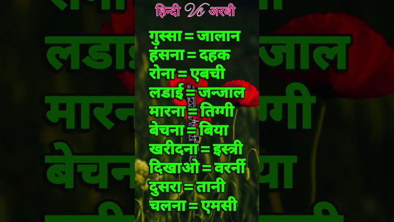 Hindi to Arabic: 10 Words you need to know! #arabiclanguage #hindi #shorts