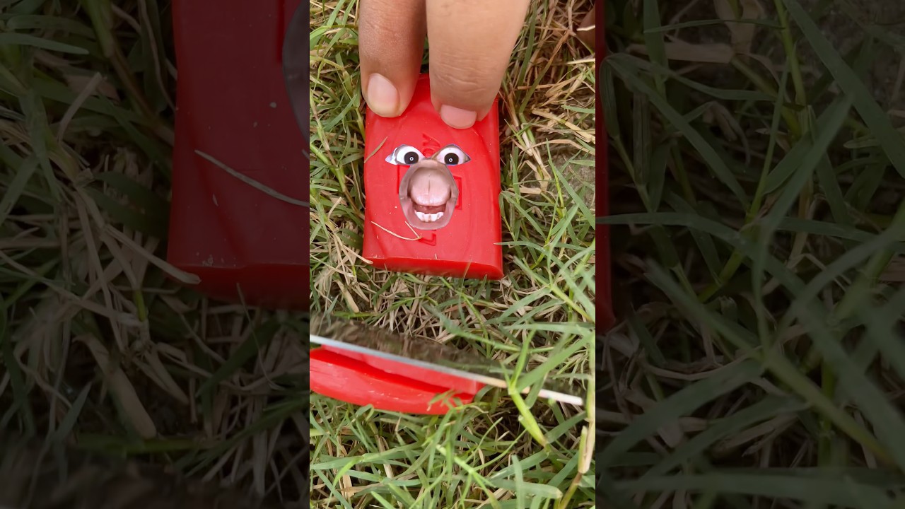 Survival Skills: Smart idea and Simple but very Useful  #bushcraft #camping #outdoors #survival