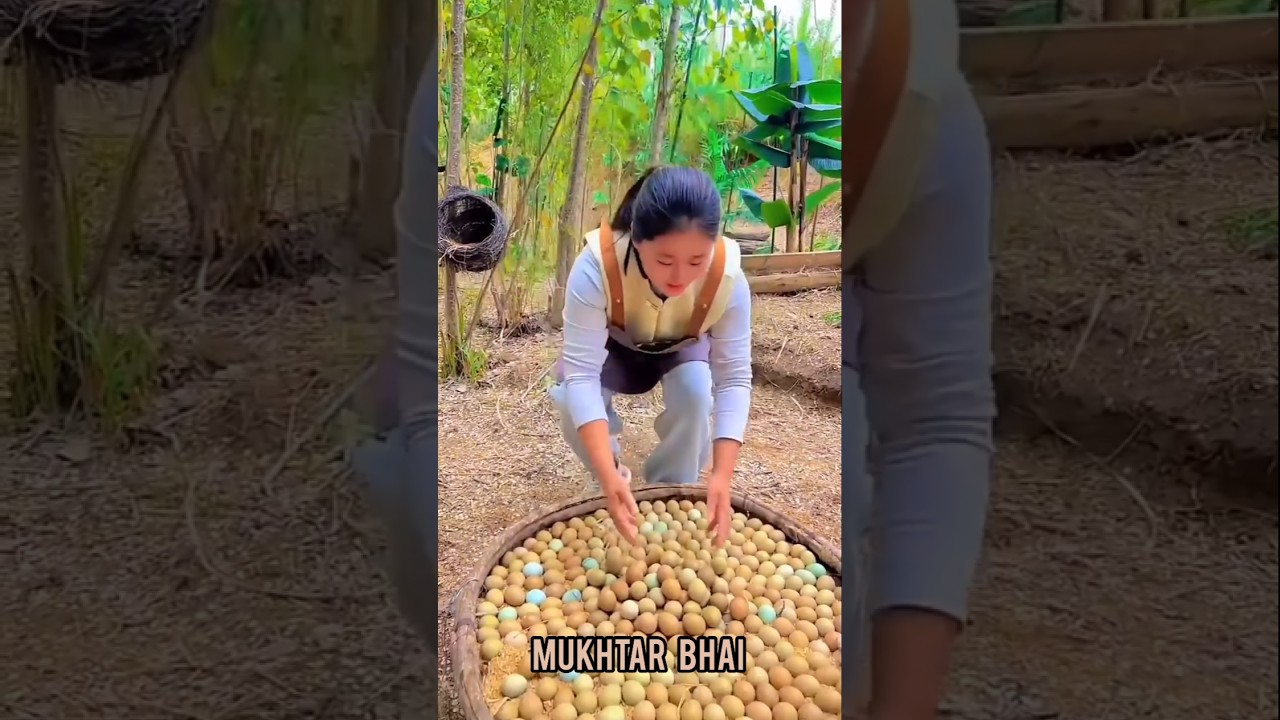 She Found a Hidden Nest Full of Eggs! 😱🥚