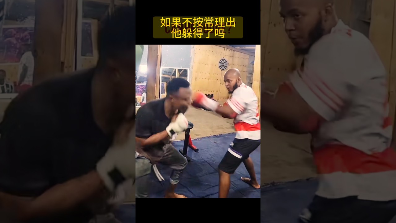 Fast Hands vs Insane Reflexes! ⚡🥊#challenge #boxing