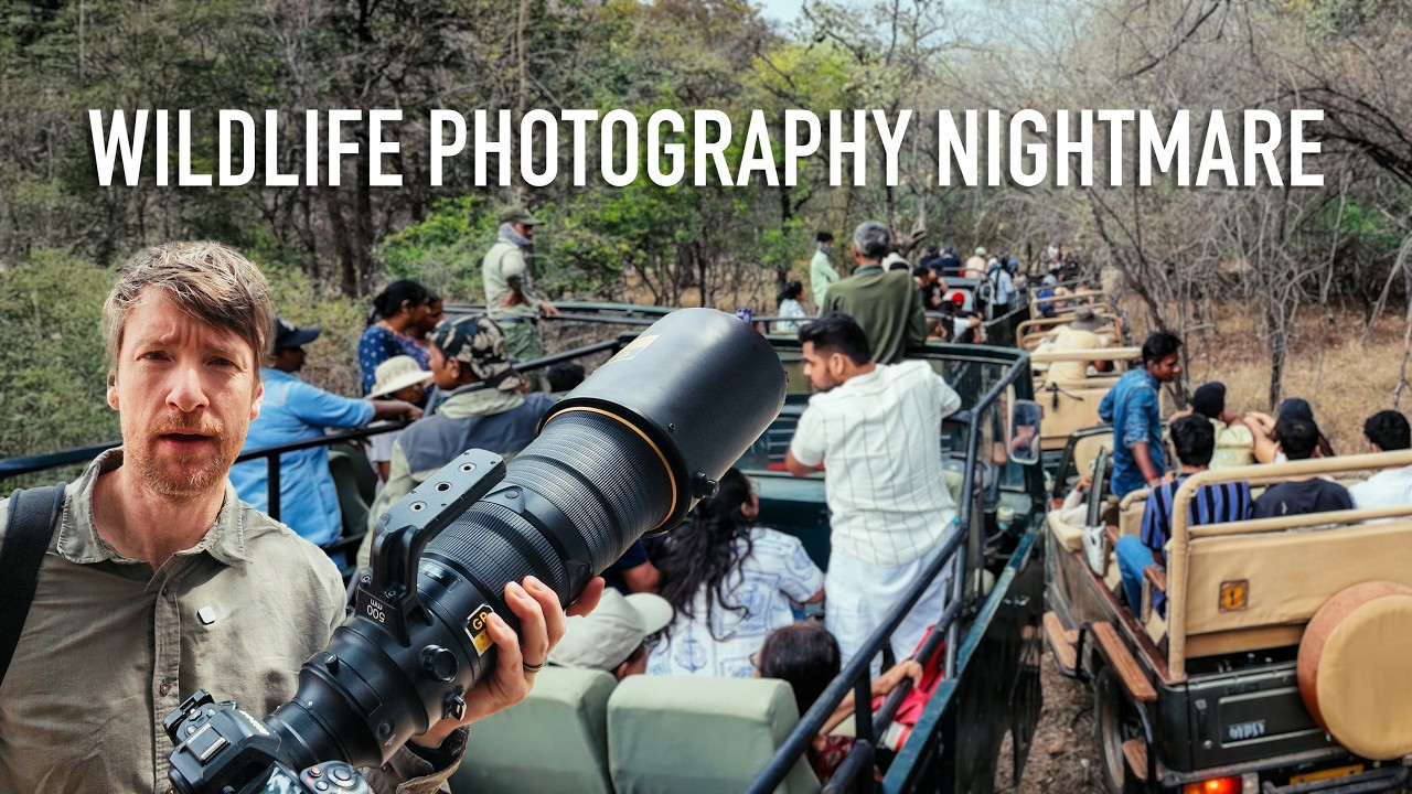 I Did Wildlife Photography in India