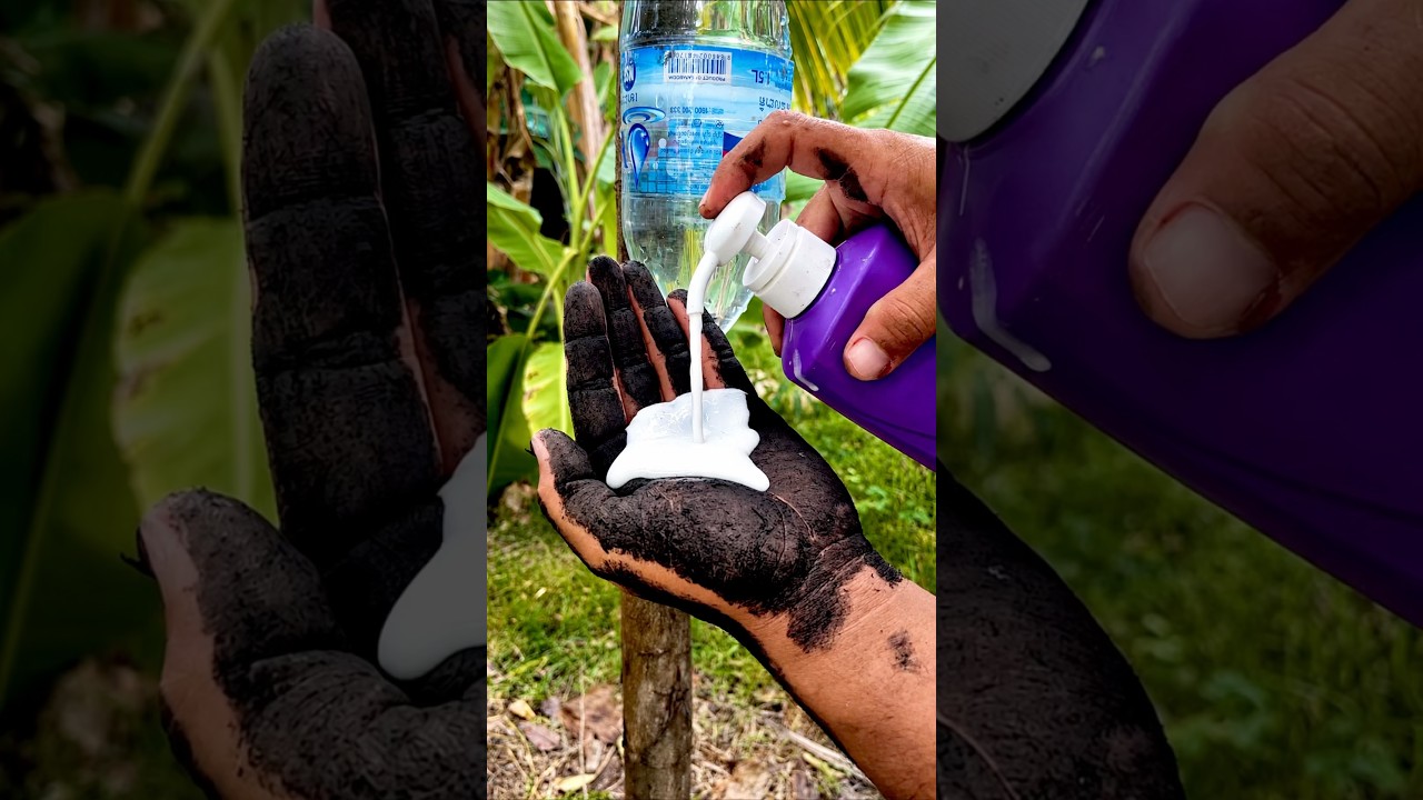 Survival Skills SIMPLE And USEFUL save SOAP & Water in forest #camping #outdoors #survival #skills