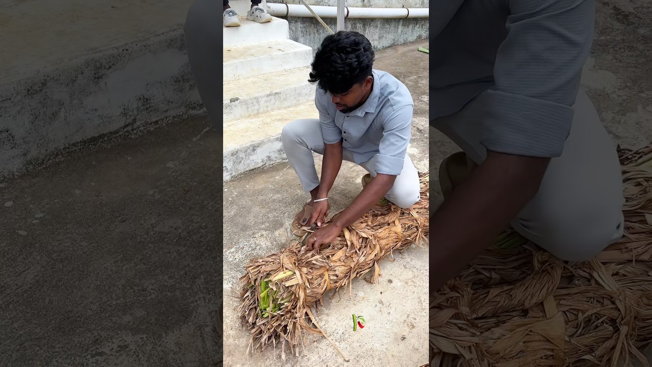 கேட்டரிங் வேலைக்கு போய் ஒரே நாளில் ₹900 சம்பாதித்தேன்! 💰#petsvlog #petsvlog #tirunelveli #petshorts