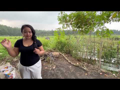 suasana perkampungan di lereng pegunungan dengan kebun yang subur