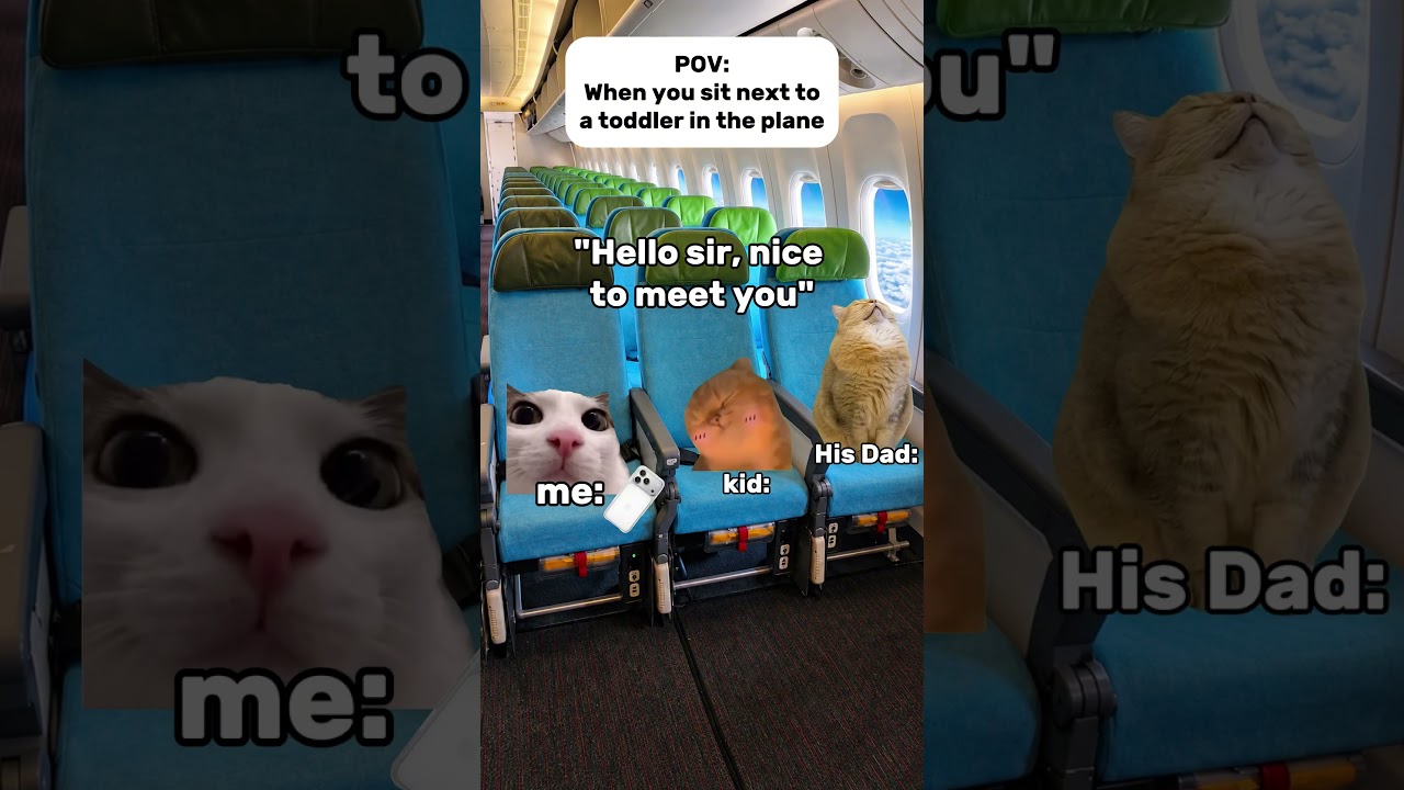 Sitting next to an iPad kid on a 10-hour flight 😭✈️📱 #shorts  #catmemes  #cat #relatable #memes