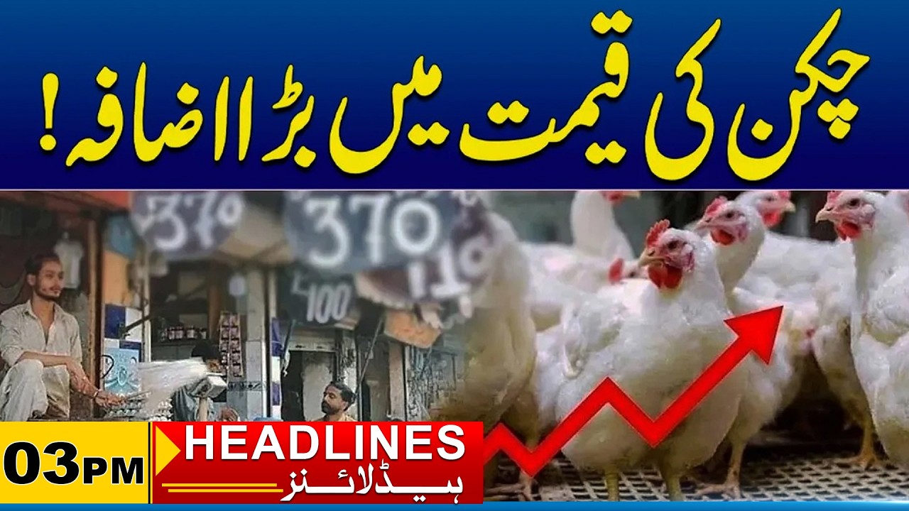Big Increase in The Price of Chicken | 3PM News Headlines | 31 July 2026 | City 41