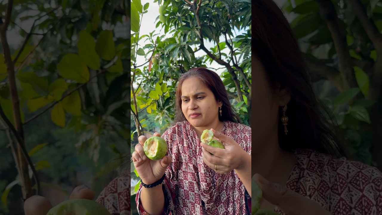 এই বছর একটা পেয়ারাও খেতে পারিনি সব গাছ কেটে ফেলবো😭#gardening #nature #jerinexclusive #shorts