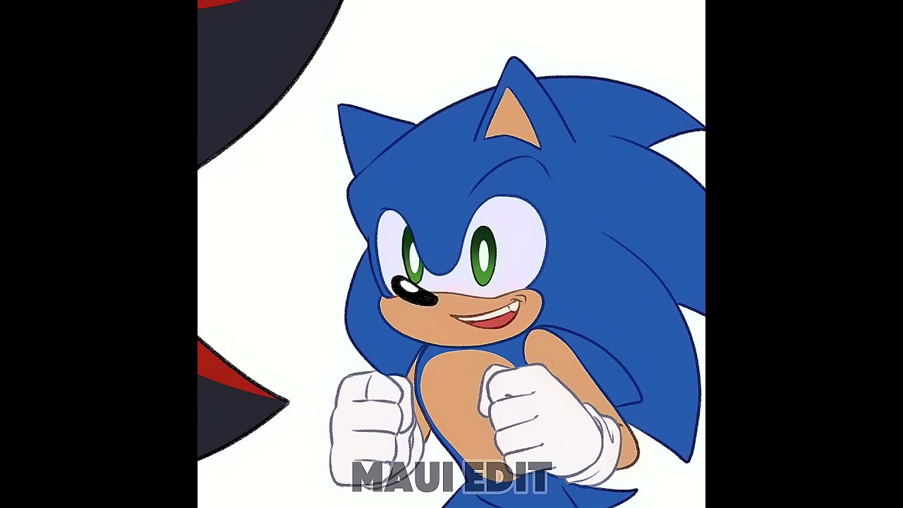 Wait, what is Shadow doing? #shadowthehedgehog #sonic #animation