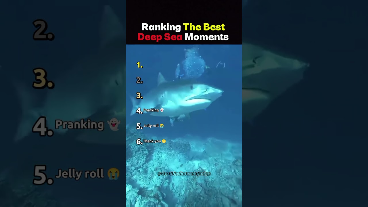 Ranking Goofy Underwater Friends | The Final Verdict