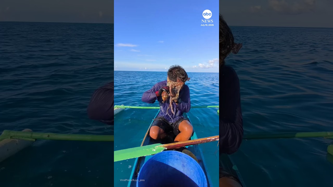 Fisherman struggles with octopus clinging to his face