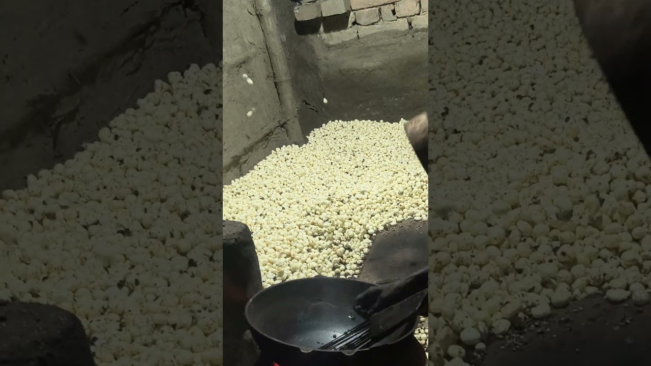 असली मखाना कैसे बनता है? 😱 मखाना फोड़ने की पूरी प्रक्रिया! #Makhana #Hardwork