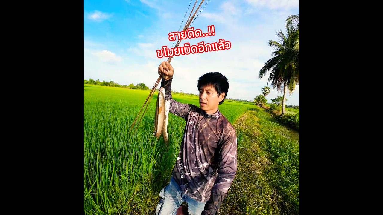โดนมันเล่นงานอีกแล้ว..!! #ออกมาหากิน #ตกปลา #fishing #ตกปลาหน้าดิน
