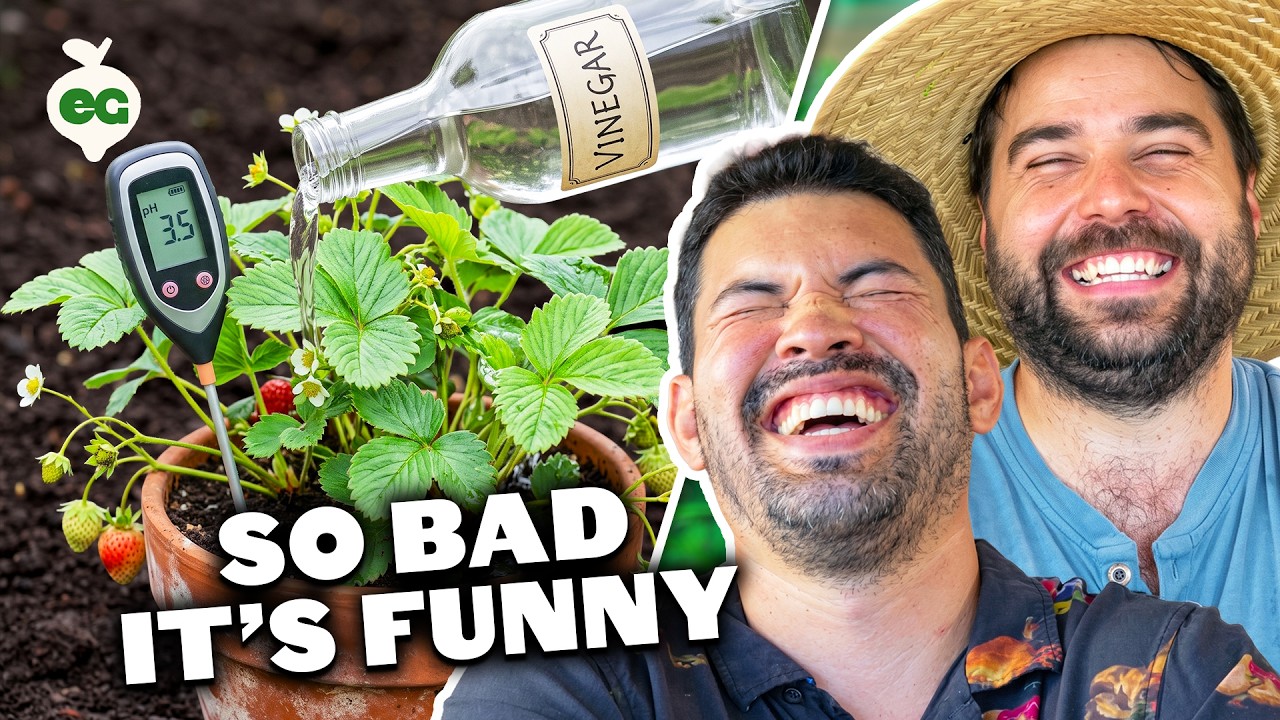 Gardeners React to YOUR Garden Disasters